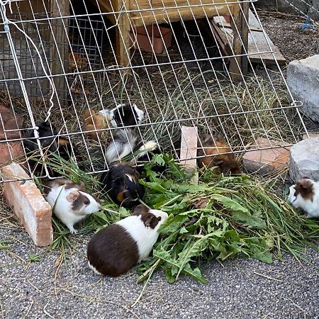 A La Maladiere ヌシャテル エクステリア 写真