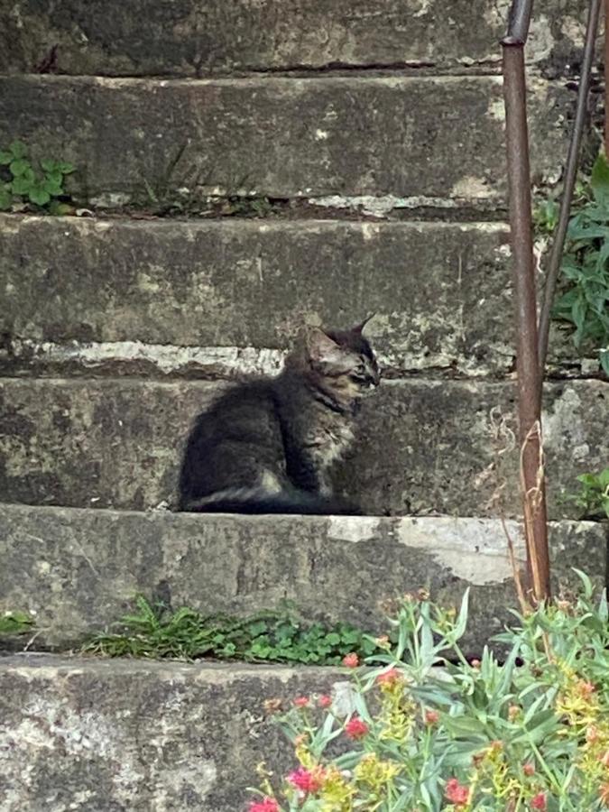 A La Maladiere ヌシャテル エクステリア 写真