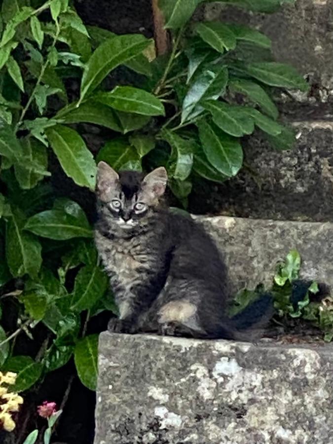 A La Maladiere ヌシャテル エクステリア 写真